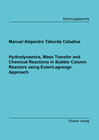 Buchcover Hydrodynamics, Mass Transfer and Chemical Reactions in Bubble Column Reactors using Euler/Lagrange Approach