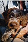 Buchcover Gipsy - Mein erstes Jahr als Hund