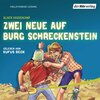 Buchcover Zwei Neue auf Burg Schreckenstein