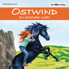 Buchcover Ostwind - Ein rätselhafter Unfall