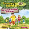 Buchcover Das beste Fußballspiel aller Zeiten (Das magische Baumhaus 50)