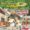 Buchcover Im Schatten des Vulkans (Das magische Baumhaus 13)