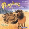 Buchcover Ponyherz 14: Ponyherz im Sturm