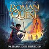 Buchcover Roman Quest 2: Im Bann der Druiden
