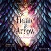 Buchcover Flame & Arrow 1: Drachenprinz