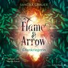 Buchcover Flame & Arrow 2: Elfenkriegerin
