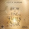 Buchcover How To Find A Fallen Star (New York Magics 2)