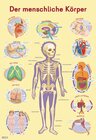 Buchcover Mein Lernposter: Der menschliche Körper