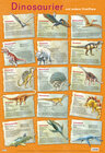 Buchcover Mein Lernposter: Dinosaurier
