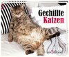 Buchcover Gechillte Katzen