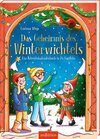 Buchcover Das Geheimnis des Winterwichtels