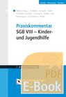 Buchcover Praxiskommentar SGB VIII – Kinder- und Jugendhilfe (E-Book)