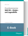 Buchcover Praxiskommentar SGB VIII – Kinder- und Jugendhilfe (E-Book)