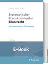 Buchcover Systematischer Praxiskommentar Bilanzrecht (E-Book)