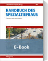 Buchcover Handbuch des Spezialtiefbaus (E-Book)