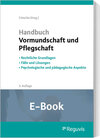 Buchcover Handbuch Vormundschaft und Pflegschaft (E-Book)