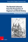 Buchcover The Mamluk Sultanate from the Perspective of Regional and World History