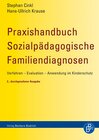 Buchcover Praxishandbuch Sozialpädagogische Familiendiagnosen