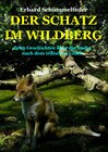 Buchcover DER SCHATZ IM WILDBERG