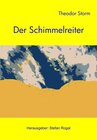 Buchcover Der Schimmelreiter