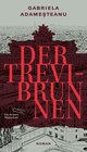Buchcover Der Trevi-Brunnen