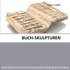 Buchcover Buch-Skulpturen