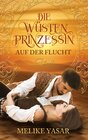 Buchcover Die Wüstenprinzessin