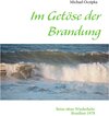 Buchcover Im Getöse der Brandung
