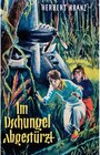 Buchcover Im Dschungel abgestürzt