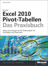 Buchcover Microsoft Excel 2010 Pivot-Tabellen - Das Praxisbuch