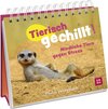 Buchcover Tierisch gechillt!