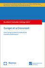 Buchcover Europe at a Crossroad