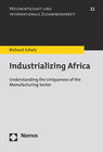 Buchcover Industrializing Africa