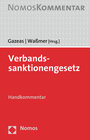 Buchcover Verbandssanktionengesetz