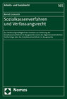 Buchcover Sozialkassenverfahren und Verfassungsrecht