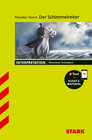 Buchcover STARK Theodor Storm: Der Schimmelreiter - Deutsch - Interpretationen