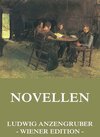 Buchcover Novellen