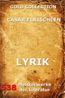 Buchcover Lyrik