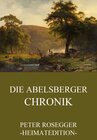 Buchcover Die Abelsberger Chronik