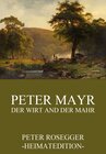 Buchcover Peter Mayr, der Wirt an der Mahr