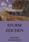 Buchcover Sturmzeichen