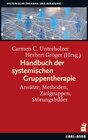Buchcover Handbuch der systemischen Gruppentherapie