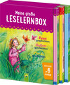 Buchcover Meine große Leselernbox - Feengeschichten, Ballettgeschichten, Pferdegeschichten