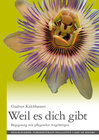 Buchcover Weil es dich gibt