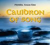 Buchcover Cauldron of song