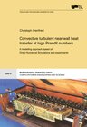 Buchcover Convective turbulent near wall heat transfer at high Prandtl numbers