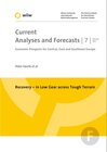 Buchcover Recovery - in Low Gear across Tough Terrain