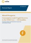 Buchcover wiiw Forecast Report / Autumn 2015