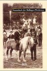 Buchcover Stammbuch der Haflinger-Pferderasse