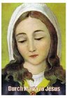 Buchcover Durch Maria zu Jesus